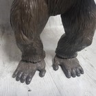 Foto 12 di 17