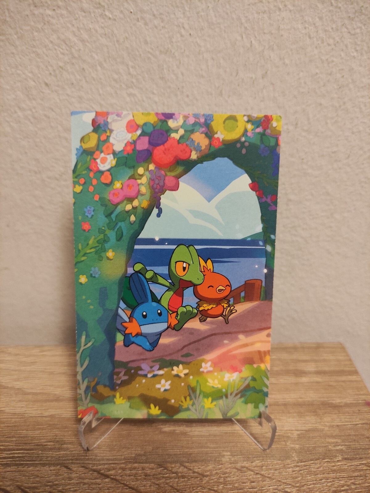 Pokemon 2021 - Treecko #252 Torchic #255 Mudkip #258 - Big Picture - Cans