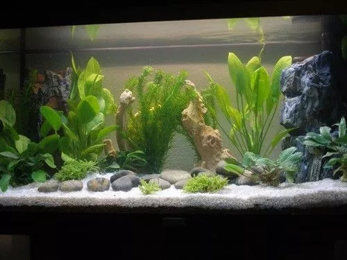 Aquarium Gravel Natural White Fish Tank Sand Plant Substrate LIGHT SILICA 2 3mm