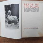 BIRDS OF THE PLAINS. INDIA. ILLUSTRATED 1909 FIRST EDITION. RARE OLD COPY