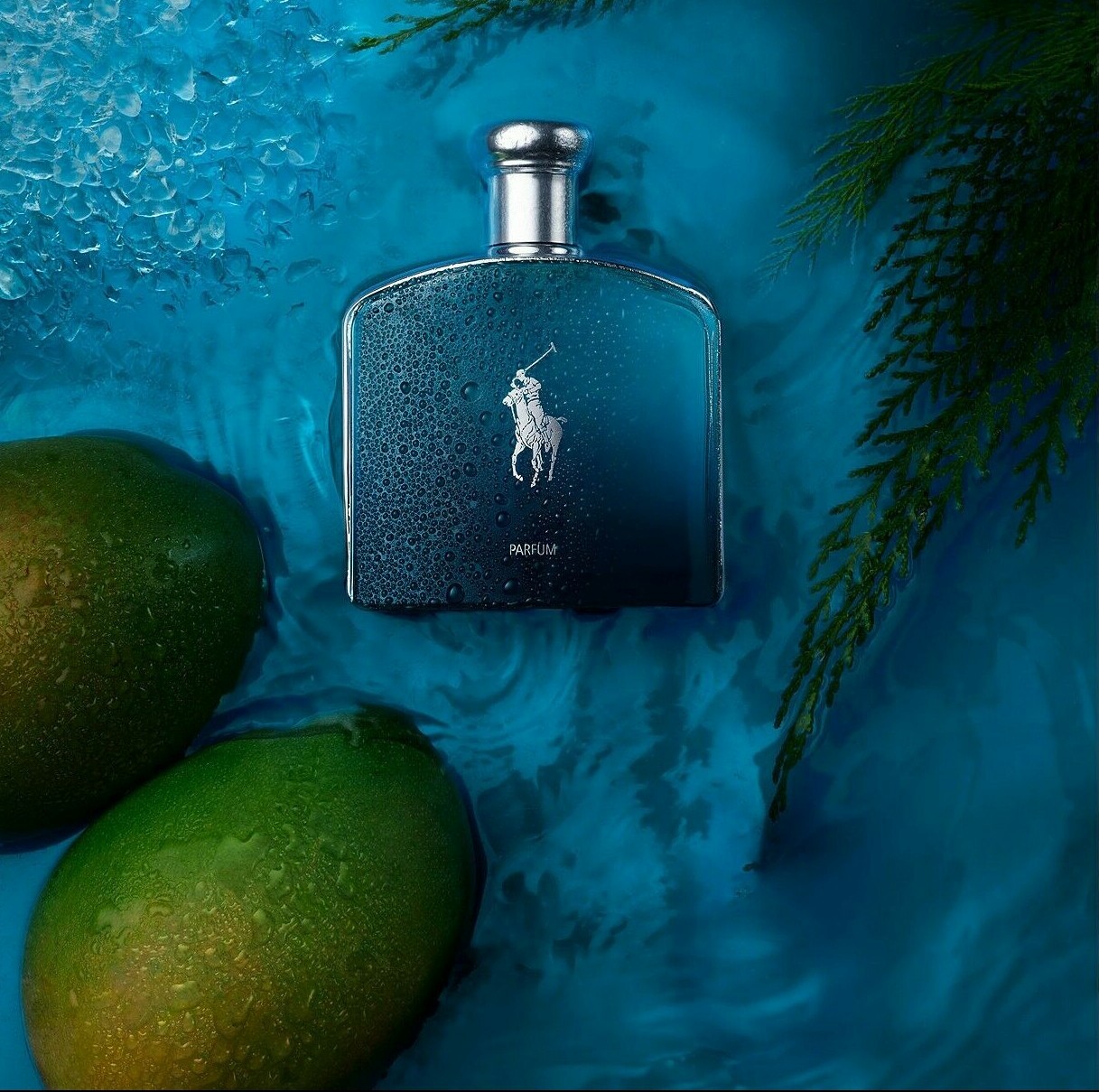 polo dark blue perfume