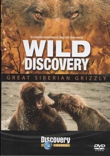 Great Siberian Grizzly - Wild Discovery - Bears - Wildlife - Sealed NEW DVD