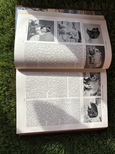 ⭐️Das Buch des Wissens 1956 Komplettsatz Band 1-20⭐️Die Grolier Gesellschaft⭐️ - Bild 19 von 20