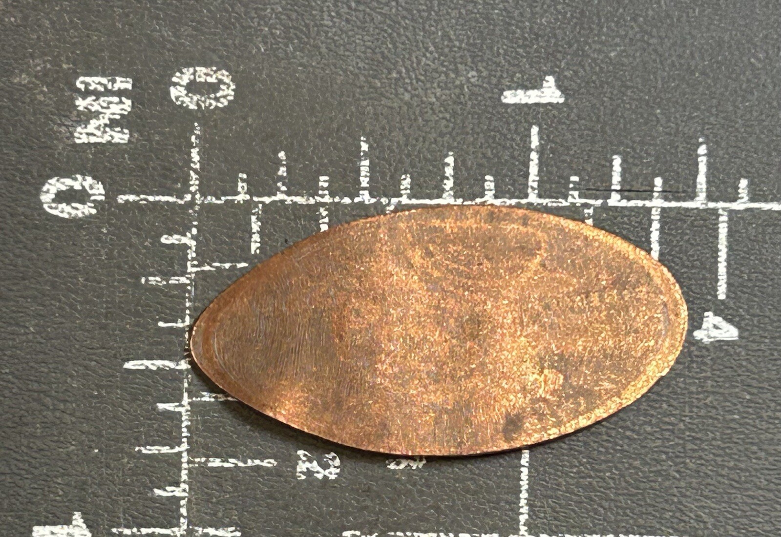 Henry Vilas Zoo Polar Bear Madison Wisconsin WI Elongated Pressed