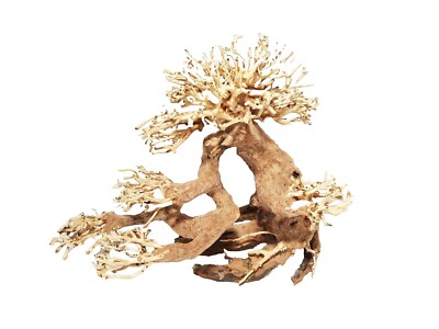 Aquariendeko Bonsai M 30x15x23 cm natürliche Deko Dupla zum Bestücken mit Moos