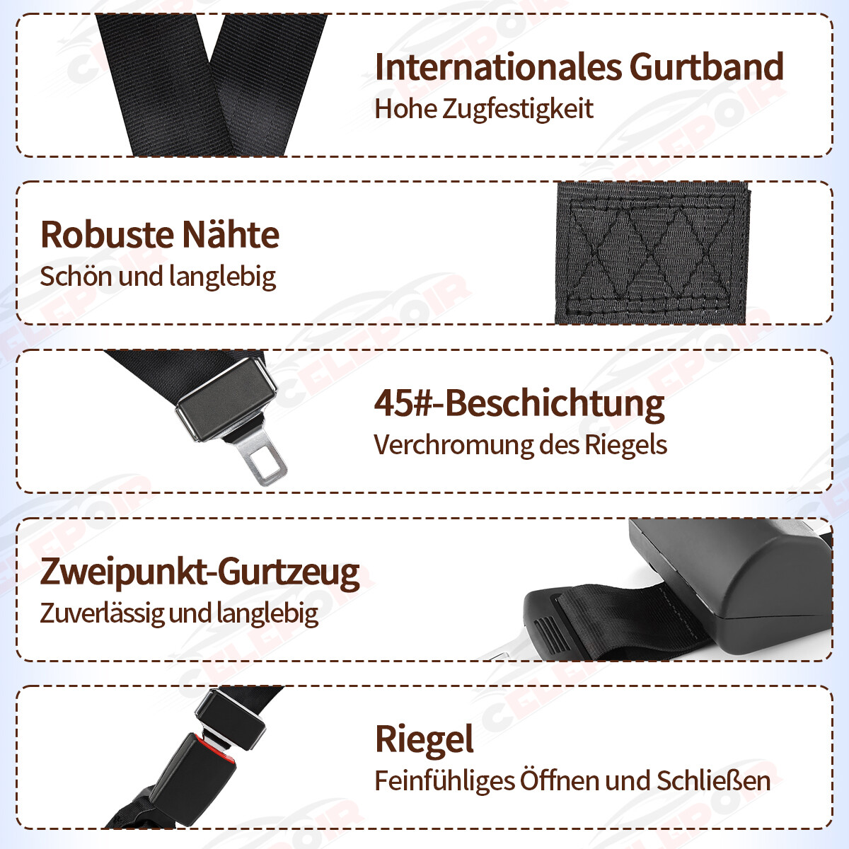Bild 8 von 12