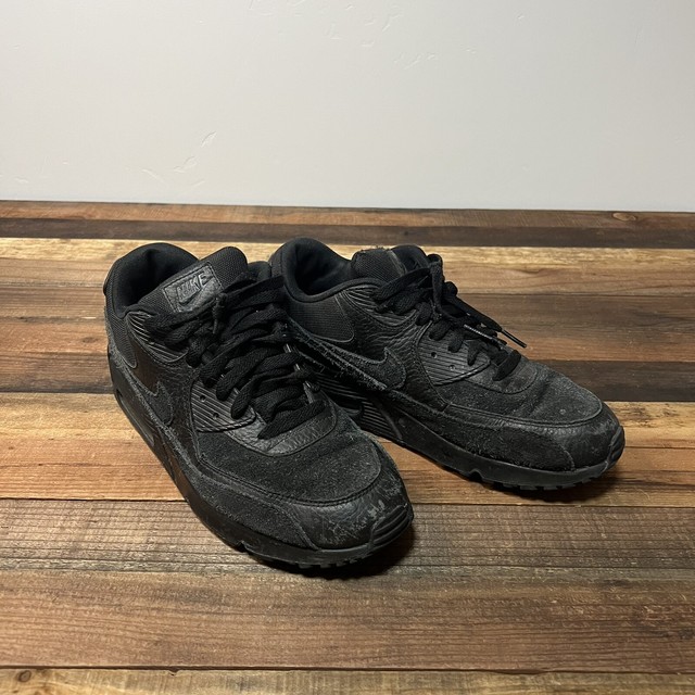 Size 10.5 - Nike Air Max 90 Essential 