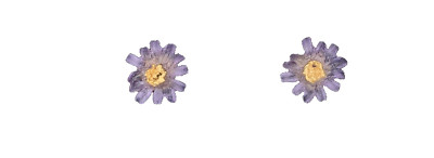 MICHAEL MICHAUD ASTER STUD EARRINGS #3628BZ
