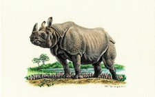 Indyjski nosorożec pancerny Unpaarhufer - Obraz z nadrukiem artystycznym - 25,5 x 17,5 cm