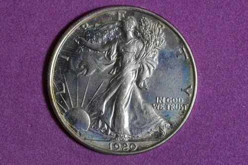 ESTATE FIND 1920 Walking Liberty Half Dollar #K59709