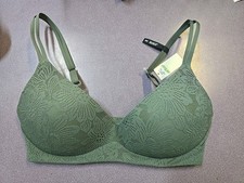 Aerie Bra Size 34C Floral Lace texture Green- NWT 