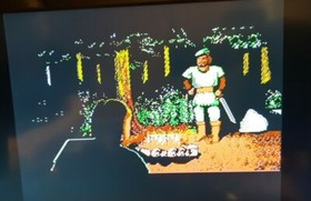 Defender of the Crown NES Nintendo Pal Spiel *sehr guter Zustand - getestet*