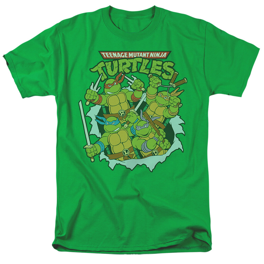 Teenage Mutant Ninja Turtles 