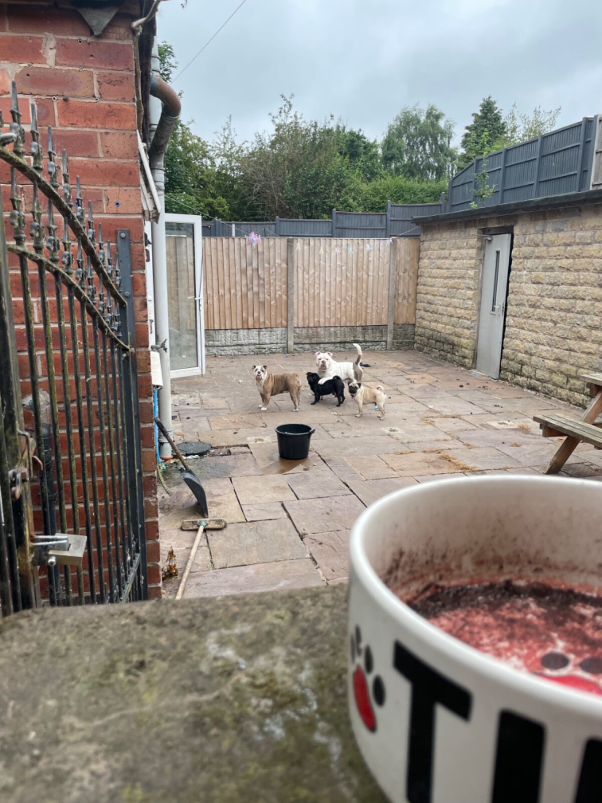 Image 6 - Fishing boat