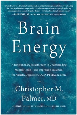 Brain Energy by Christopher M. Palmer (Hardback Book)