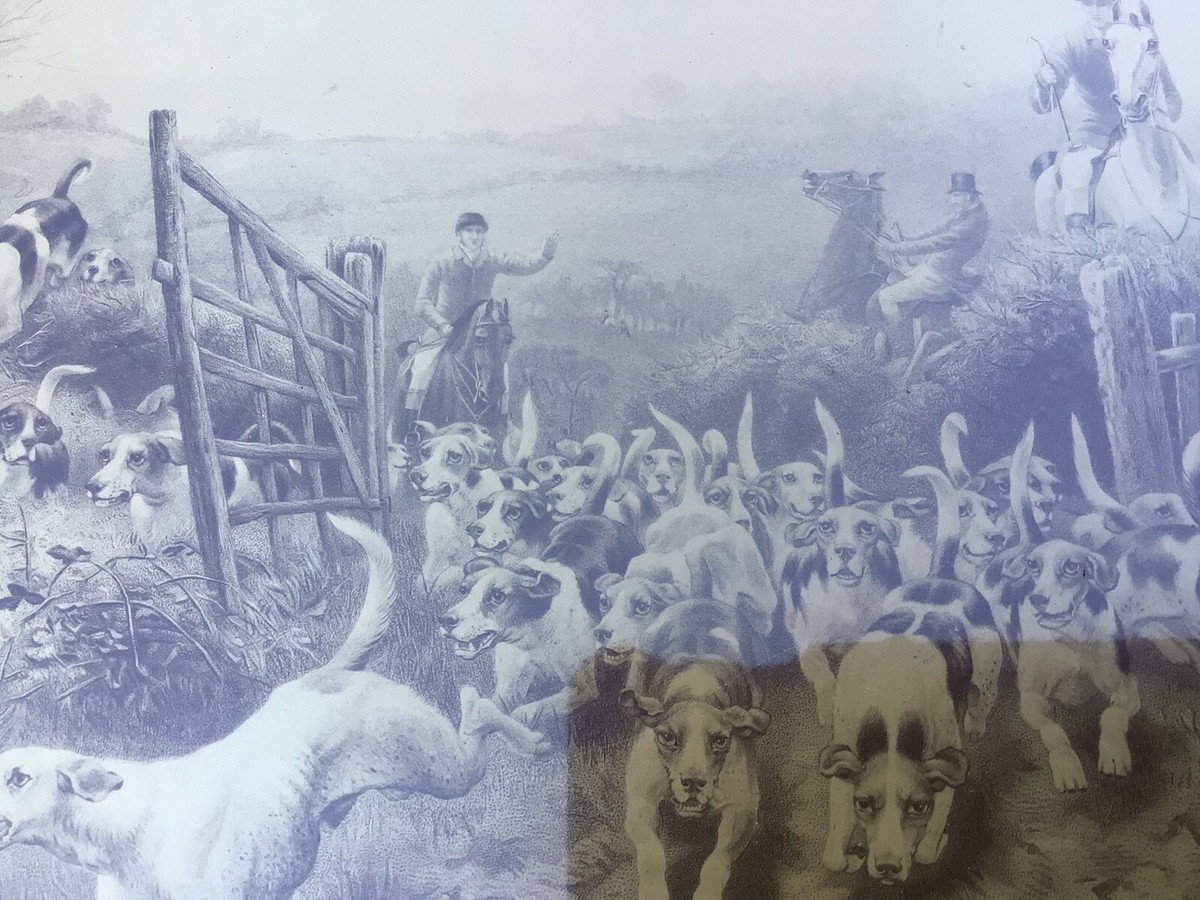 19”x23” Vintage Fox Chasing Picture, Fox Hunting, Belt Buckle