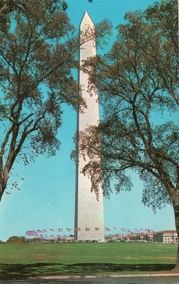 Vintage Postcard The Washington Monument
