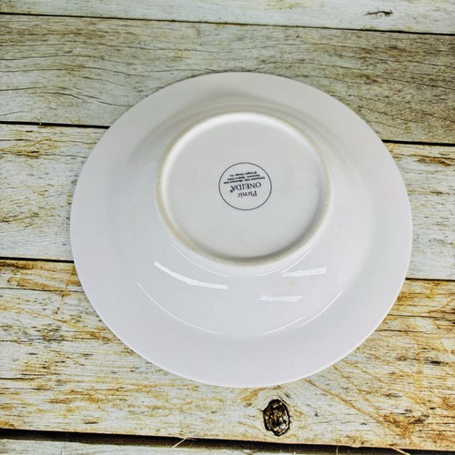 Oneida PICNIC Cestino Bianco Tessuto 1Cena 1 Piatto Pane 1 Zuppa 1 Ciotola Cereali 4 Pezzi - Foto 9 di 22