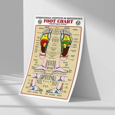 Foot Reflexology Chart by Institute of Reflexology, Gift Poster