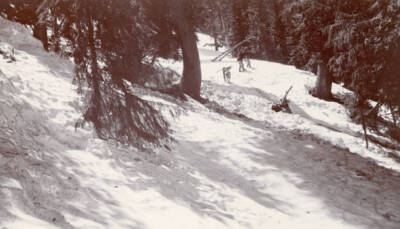 On the way up the Paitisun Pass - escort ascending North West Fron .. Old Photo