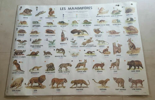 Affiches scolaires de collection années 70