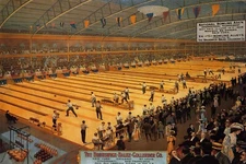 Madison Square Garden Massive Bowling Alley 1909 Vintage Poster Repro FREE S/H