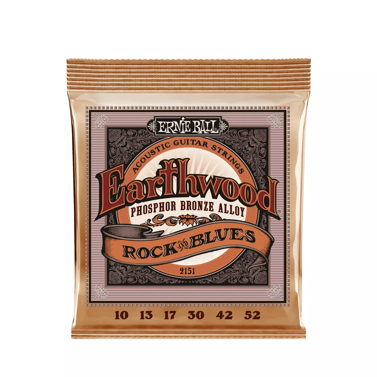 Ernie Ball Earthwood w Plain G Phosphor Bronze Acoustic Guitar