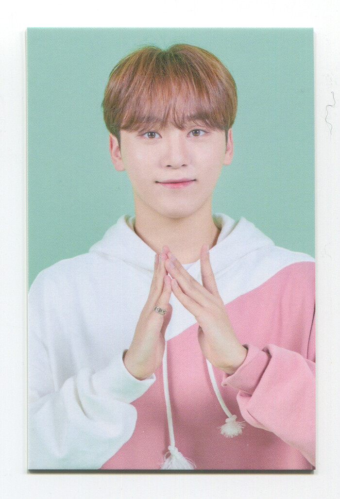 SEVENTEEN 2020 4th FAN MEETING [CARAT LAND] OFFICIAL TRADING CARD