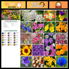 Vibrant Wildflower Garden Seeds Mix for Pollinators - Annual & Perennial, 1 lb 90.99 per gallon