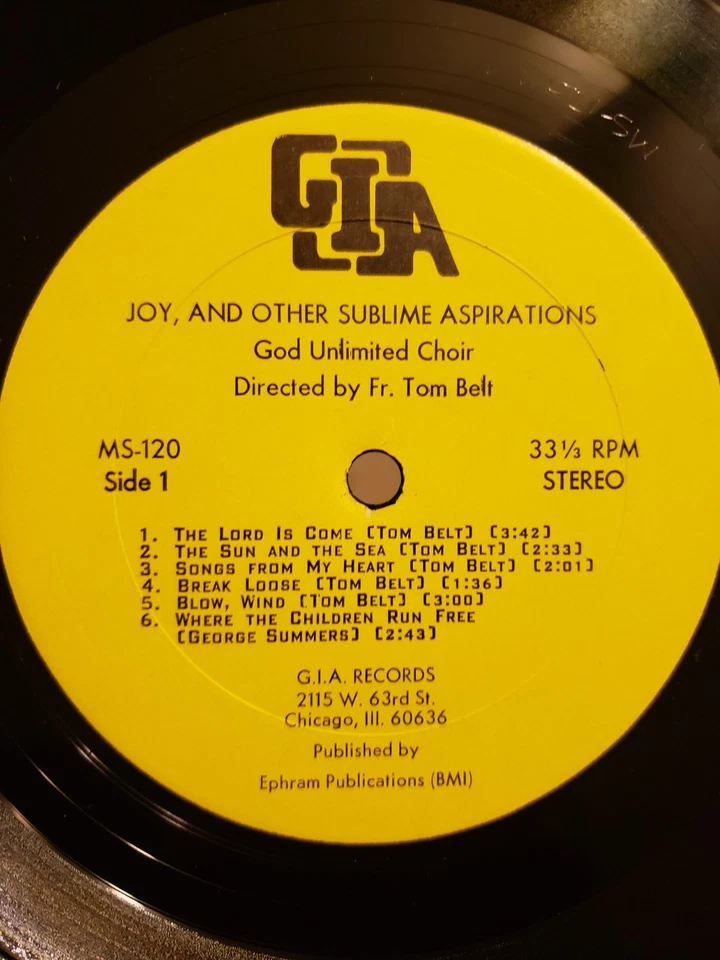 The God Unlimited Choir* Directed By Fr. Tom Belt* – Joy, And Other Sublime VG+ - Image 3 of 4