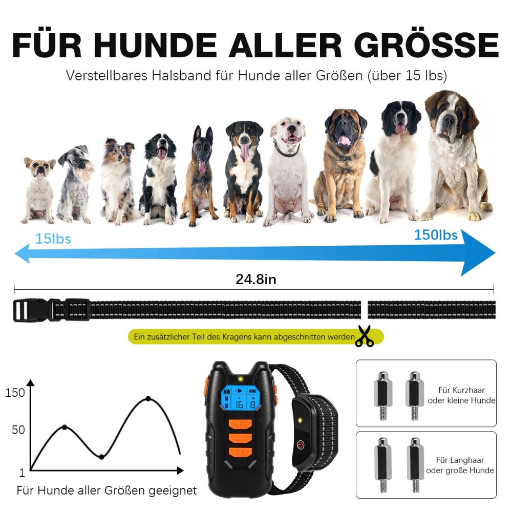Bild 9 von 18