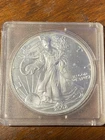 2002 SAE Silver American Eagle one troy ounce .999 fine silver toned