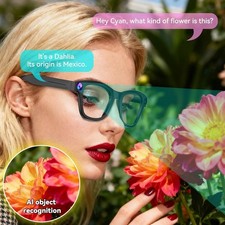 Smart Glasses: AI Assistant + Transition Sunglasses + Bluetooth Music + More