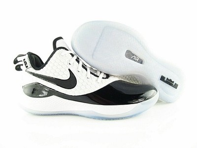 Nike Lebron Witness III White Black Oxygen ''Sample'' US_9 UK_8 Eur_42.5