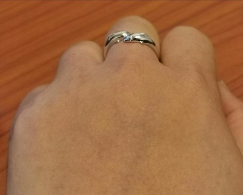 ANELLO DONNA PLACCATO ARGENTO DELFINI REGOLABILE PORTAFORTUNA IDEA REGALO - Foto 4 di 5