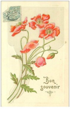 Flowers No. 24509 Poppy Type | eBay