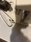 GENESIS  Plasma Thawing Water Bath Working Powers On — photo 3
