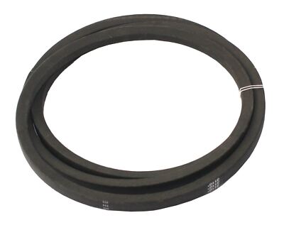 Courroie Crantée 570 X 8 Mm Pour Machine à Pain - Compatible Princess, Amstrad, Riviera & Bar