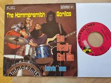 7" Single The Hammersmith Gorillas - You really got me Vinyl Germany/ CV The Kin