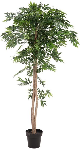 Europalms Ficus Longifolia, Kunstpflanze, 165Cm-image