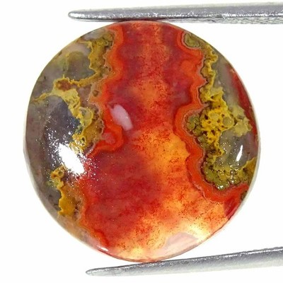 11,80 Cts Natürlicher Moroccan Seam Agate Cabochon Lose Edelstein 18x4 mm Rund