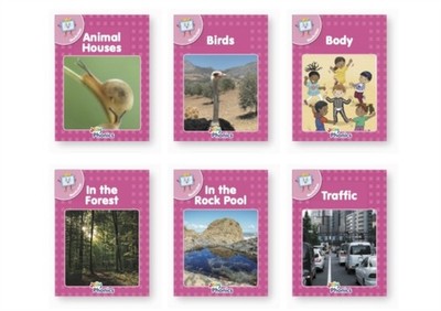 JOLLY PHONICS PINK READERS NONFICTION by WERNHAM, SARA Paperback Self Help