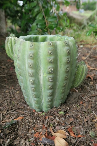 CACTUS PHOENIX POT PLANT PLANTER SUCCULENTS GARDEN PLANT FEATURE SET OF 2 - Picture 2 of 6