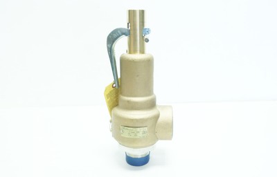 Apollo 19-SJHA31.5 3094lb/hr Threaded 31psi 2/2-1/2in Npt Relief Valve