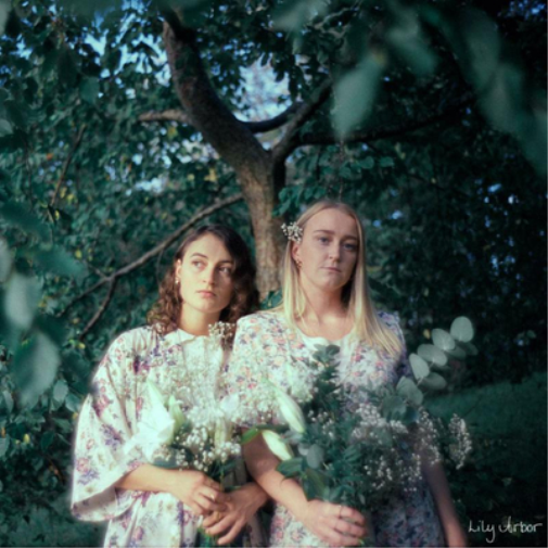 Lily Arbor Lily Arbor (Vinyl LP) 12" Album