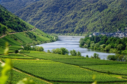 Für Weinfreu(n)de Mosel,Rhein,Ahr ..4 Tage für 2 (DZ) z.b. 4* Hotel Wert € 349,- - Afbeelding 1 van 3