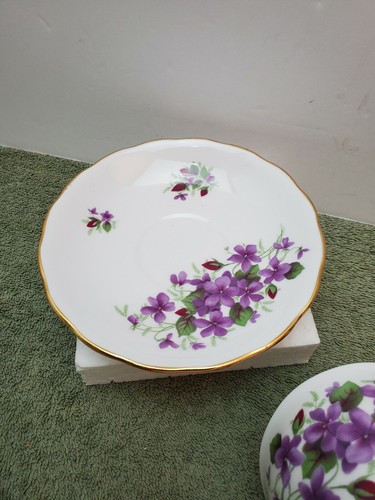COLCLOUGH ENGLAND PURPLE VIOLETS FOOTED CUP & SAUCER - Picture 6 of 7