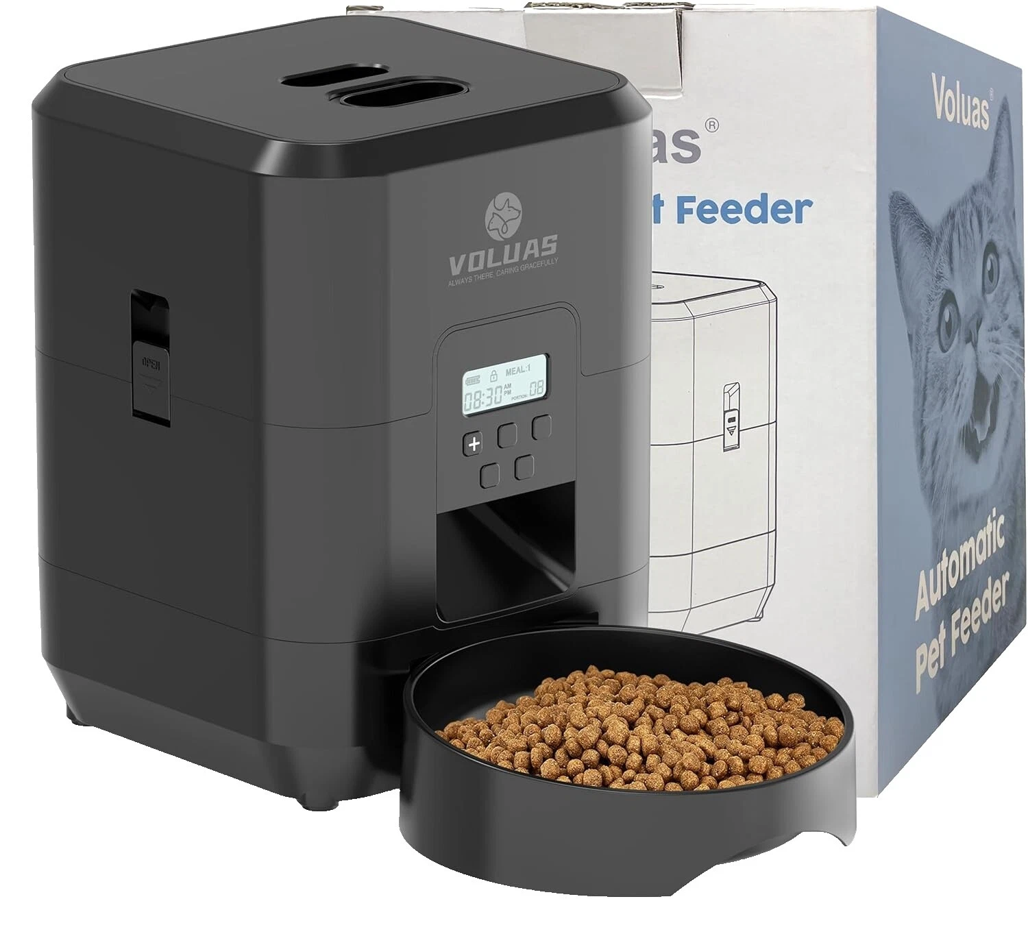 Brown Dog Alimentadores automáticos