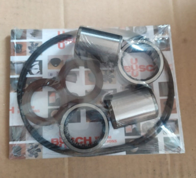 Busch R5 RA 0025, 0040 rotor service kit. Free shipping.