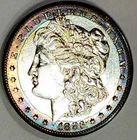 1883-S Semi Key  Date Album Toned High Grade Morgan Dollar Old Collection
